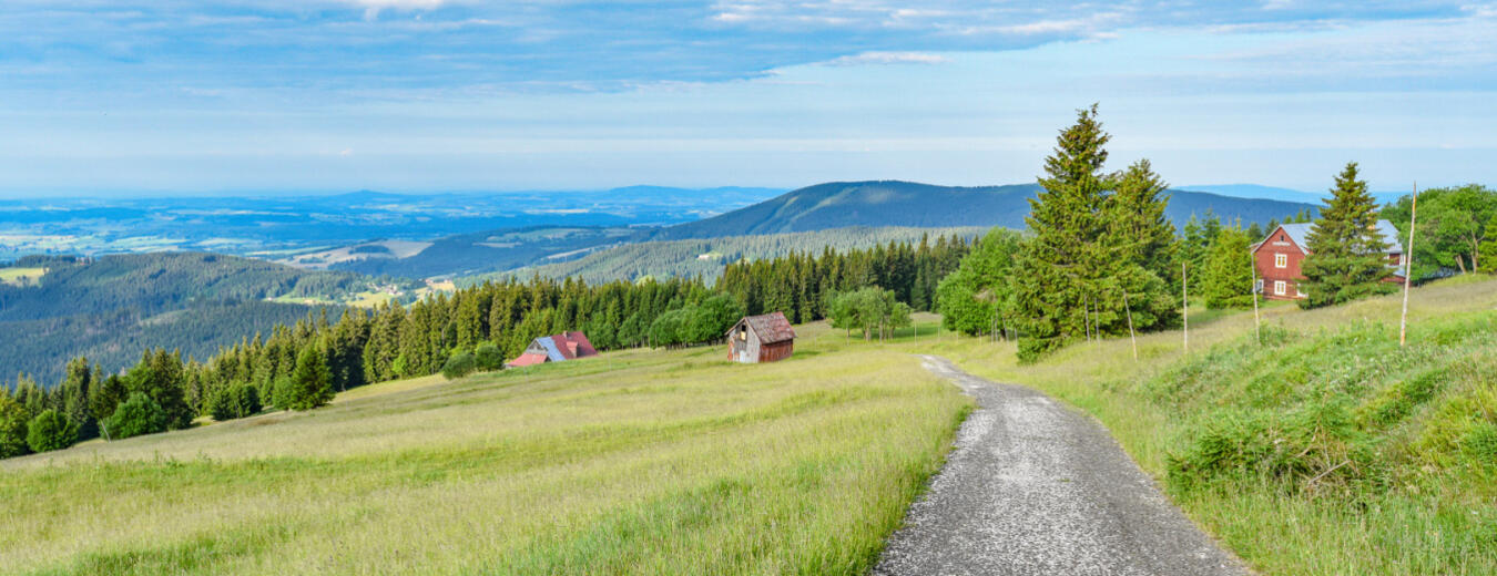 Bledule v Krkonoších