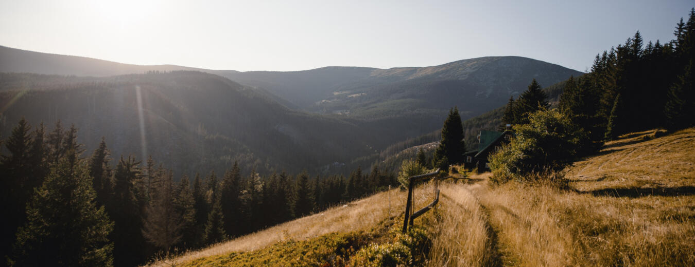 Bledule v Krkonoších