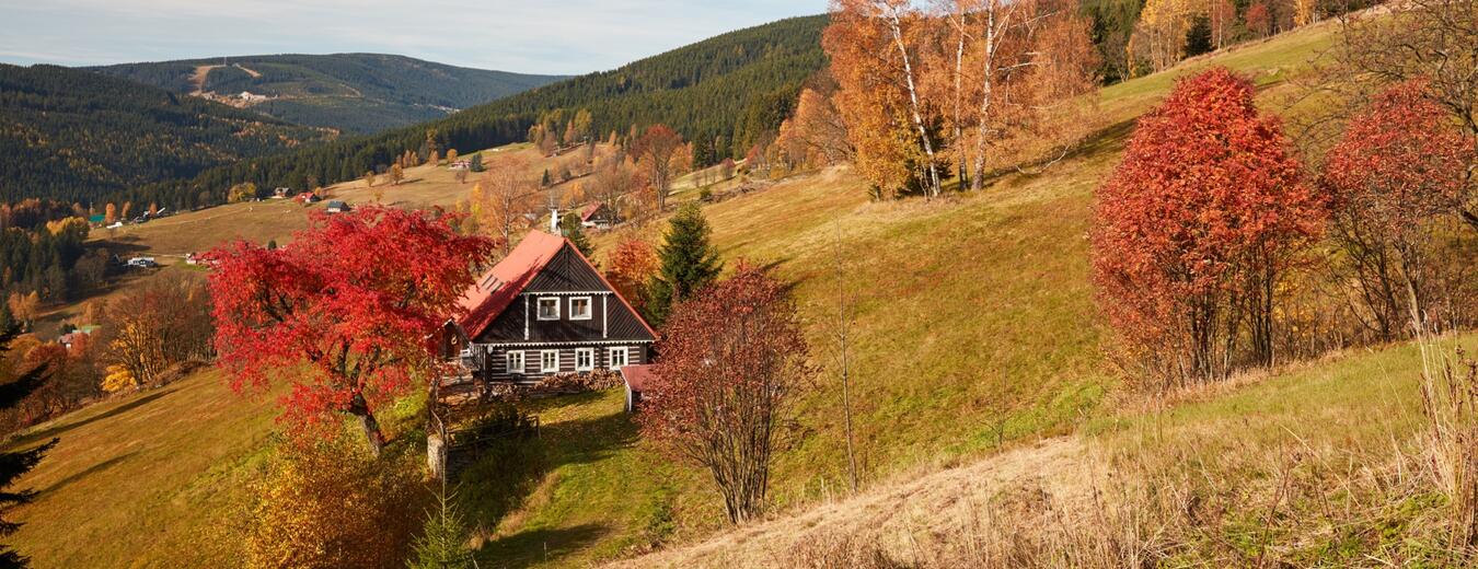 Herbst im Velka Upa
