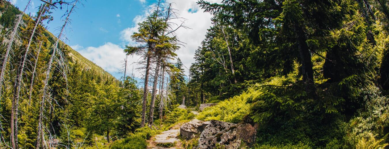 The Krkonose Pilgrimage of Poet Karel Hynek Macha