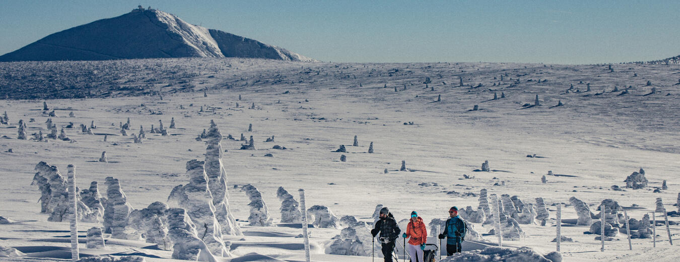 Zažij skialpy v Krkonoších