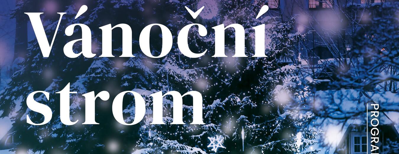 Rozsvícení vánočního stromu - Špindlerův Mlýn 