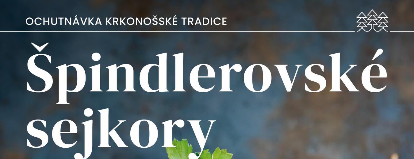 Špindlerovské sejkory