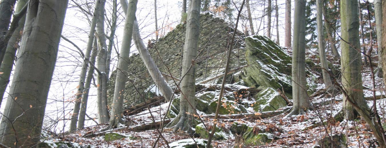 The ruins of the Gothic Castle Stepanice