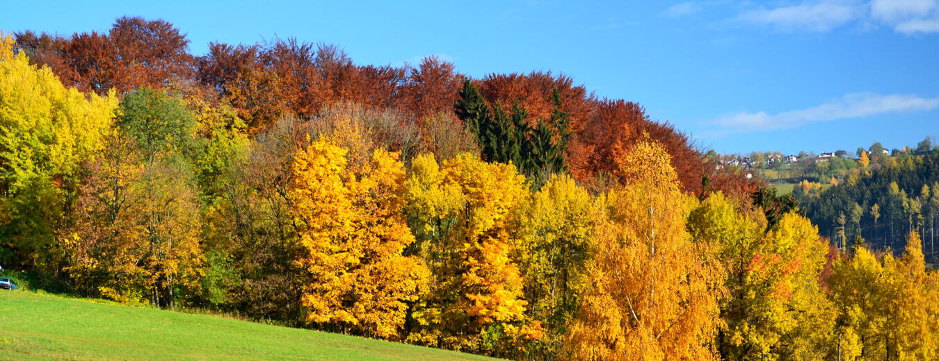 Podzimní přírodou Podkrkonoší