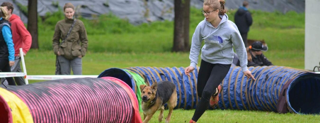 Psí agility závody (foto Barbora Štefanová)