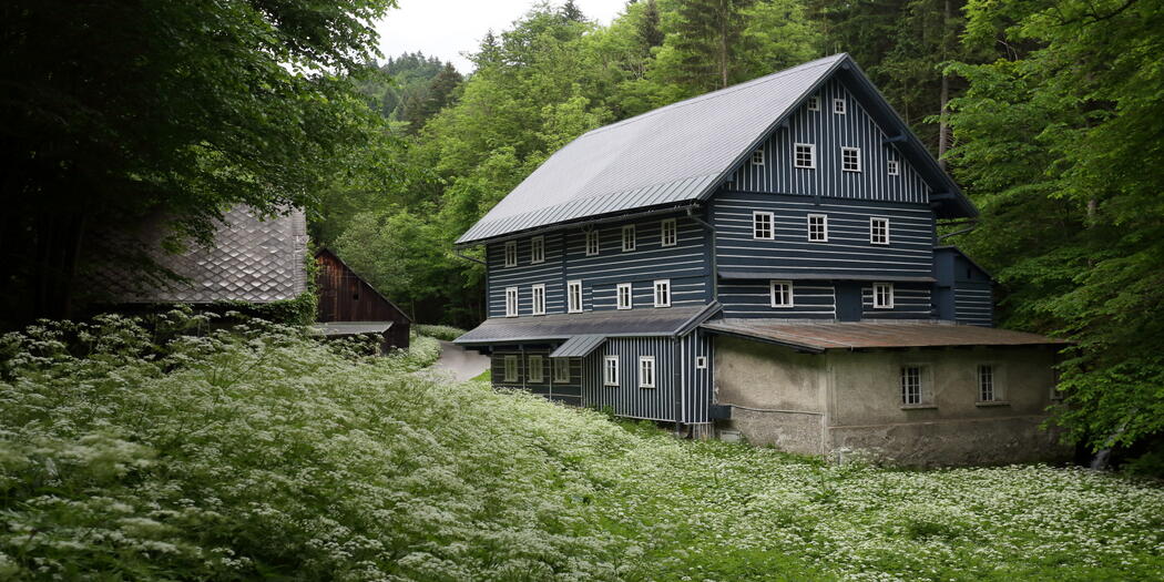 Młyn Janata Buřany