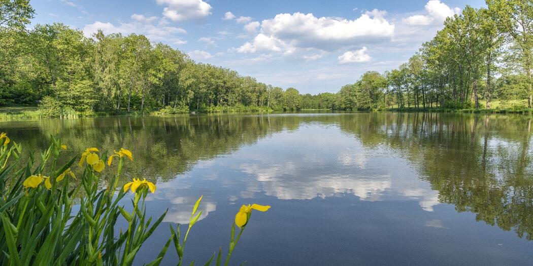 Martinické rybníky