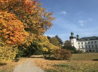 Zamek i park zamkowy w Vrchlabí