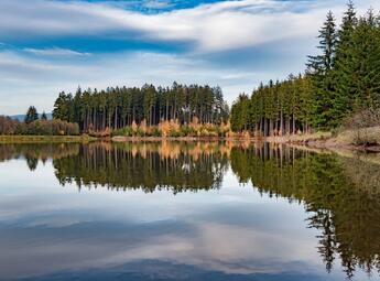 Martinické rybníky