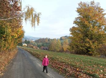 Vlček, který nekouše