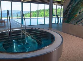 Wellness centrum Horský hotel Tetřeví boudy