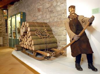 Leśna i myśliwska ekspozycja Sindelka