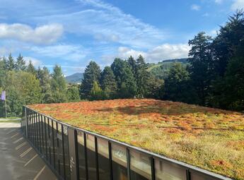 KRTEK – Karkonoskie Centrum Edukacji Ekologicznej