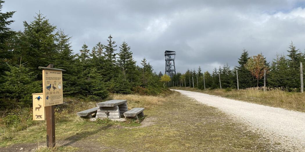 Tetřívčí hravá naučná stezka 