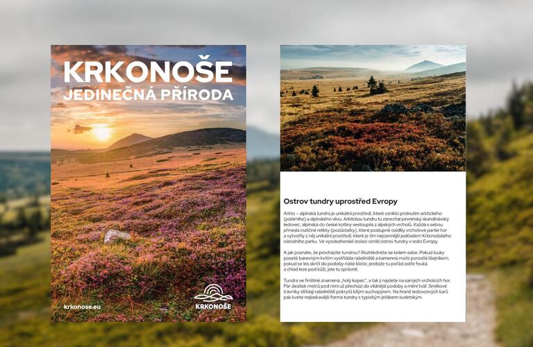 Krkonoše jedinečná příroda