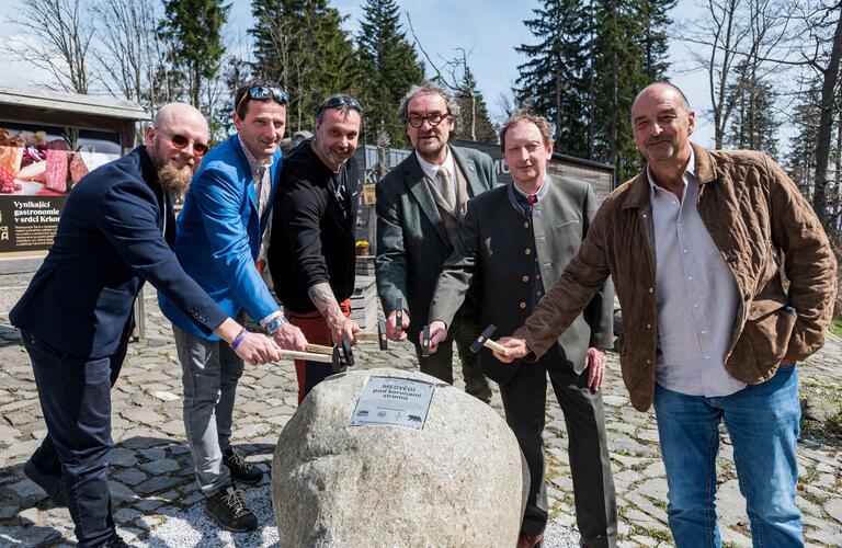 Medvědi míří pod koruny stromů