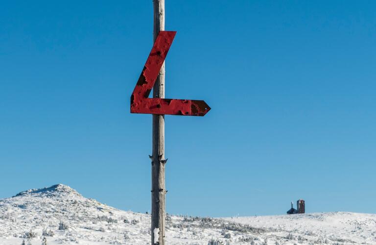 Muttichovy němé značky