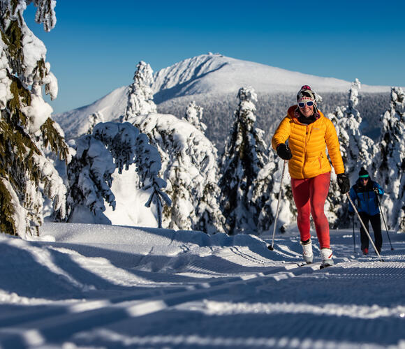 Polecane trasy narciarstwa biegowego