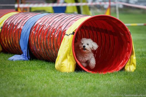 Vrchlabi-agility-zavody