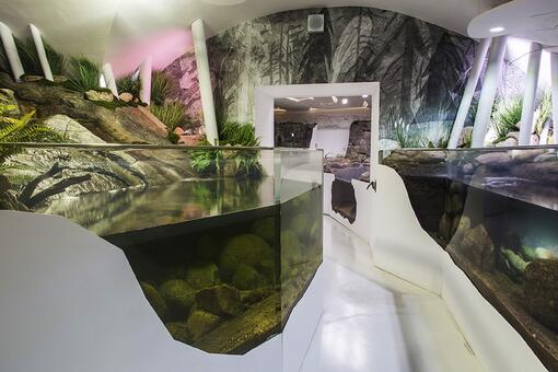 Setkání s tvůrci expozice - akvarista Tomáš Macháček