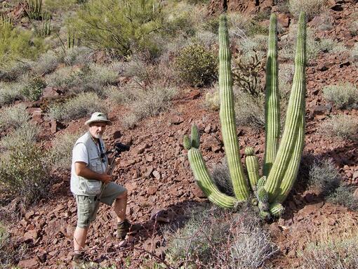 AMERICKÝ JIHOZÁPAD