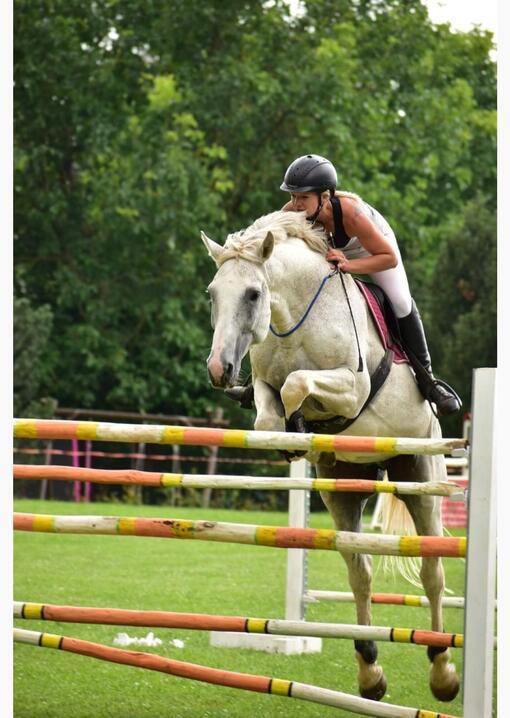 Krkonošské klání 