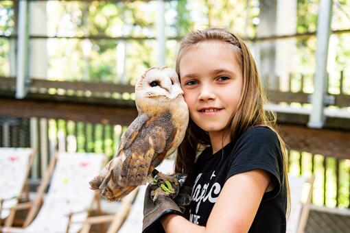 Ptačí dravci na Stezce