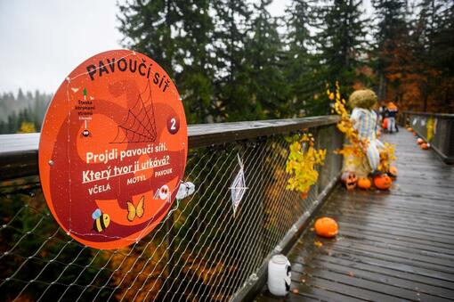 Halloween na Stezce!