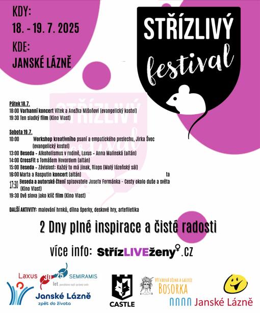 Střízlivý festival