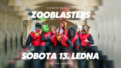 Zooblasters - koncert