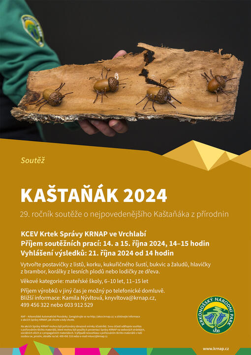 Kaštaňák 2024