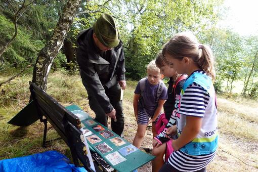 Krkonošská šlápota – Rokytnice