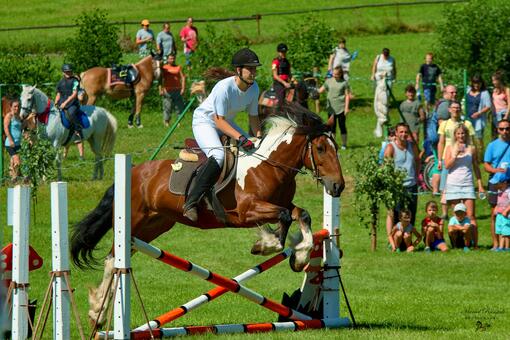 XX. Krkonošské klání 