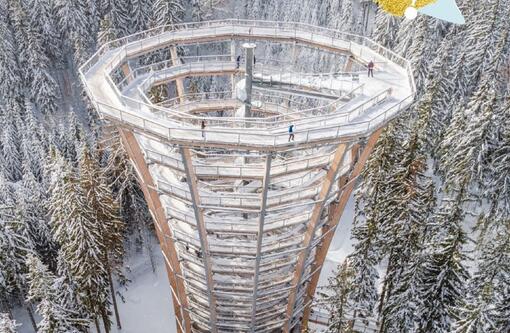 Novoroční zvonění na Stezce korunami stromů Krkonoše