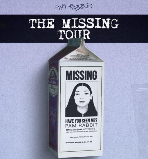 Koncert  PAM RABBIT-The Missing tour