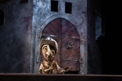 Sipkova-ruzenka-divadlo-pro-deti-kd-strelnice