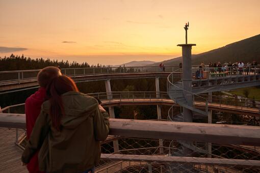 Stezka korunami stromů