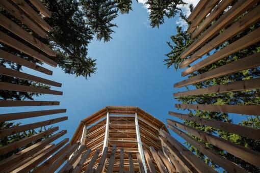 Stezka korunami stromů