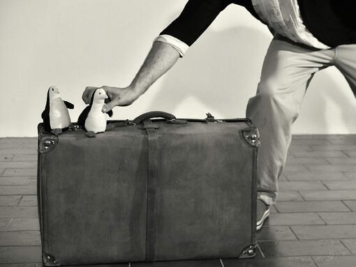 Vrchlabi-tucnaci-na-arse