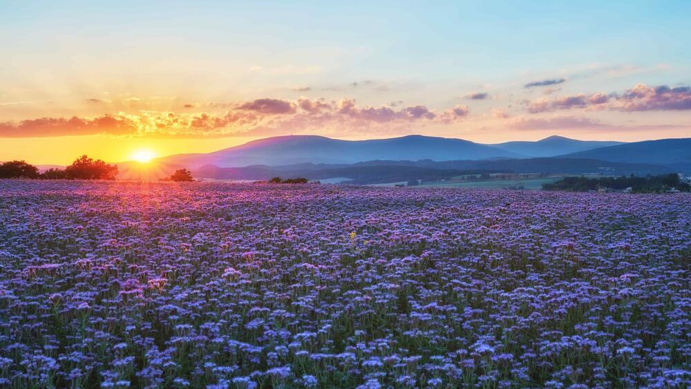 Krkonose National Park