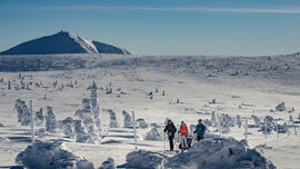 Skialpy v Krkonoších