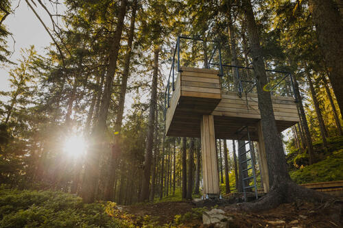 Vyhlídkový lesopark Hlídka na Stráži