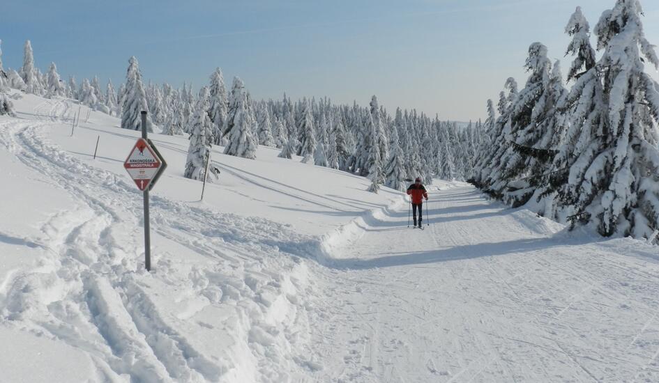 Magistrala Karkonoska