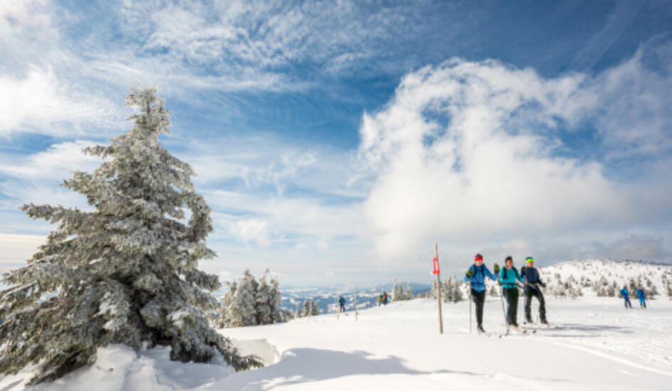 Opravdové Krkonoše zima