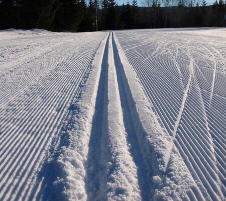 Trasa "Bądź fit" Doliną Łaby