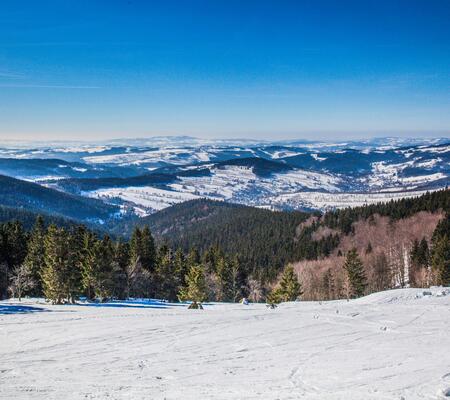 Z Rokytnicy nad Izerą do Harrachova