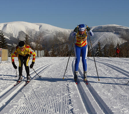 Wyścigowe trasy biegowe Horní Mísečky