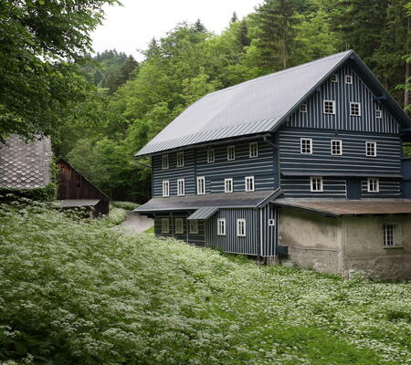 Janatův mlýn Buřany