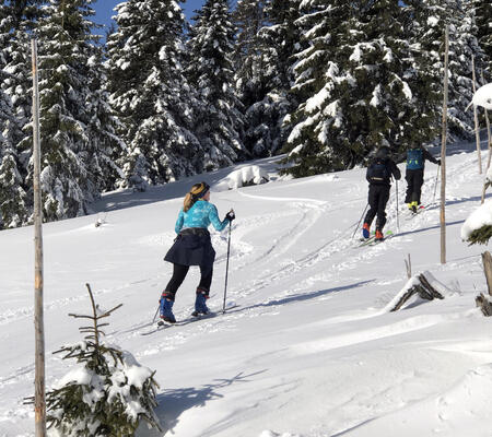 Z Dolnego Dwora do Strážnego przez Tetřeví i Hříběcí boudy